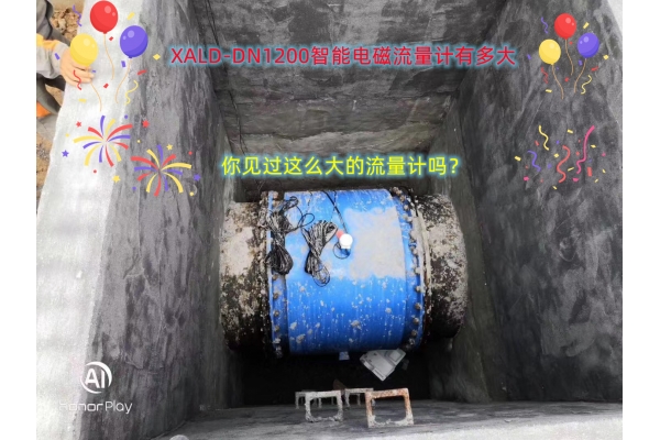 大口徑DN1200現(xiàn)場安裝圖